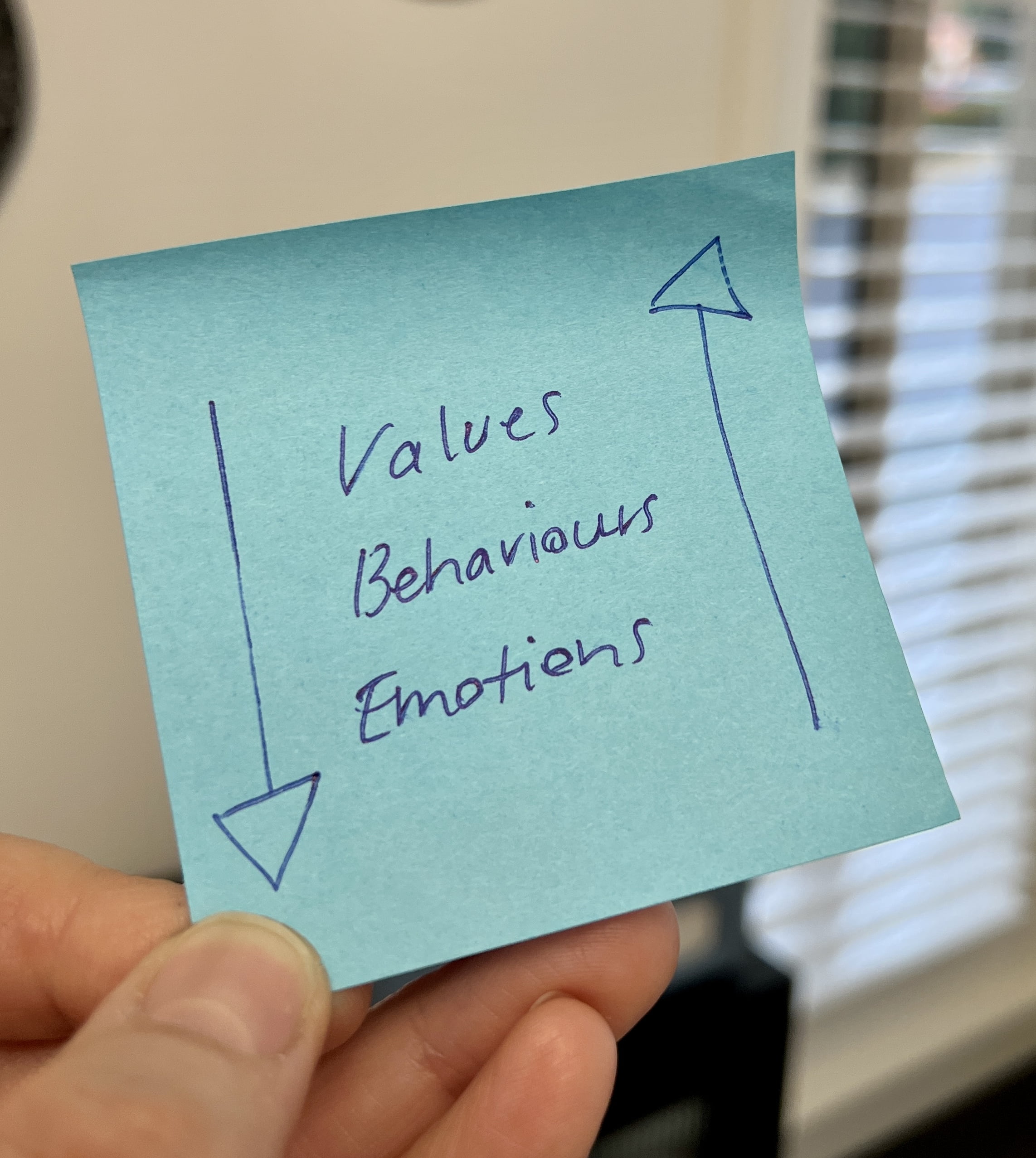 Values, Behaviours, Emotions
